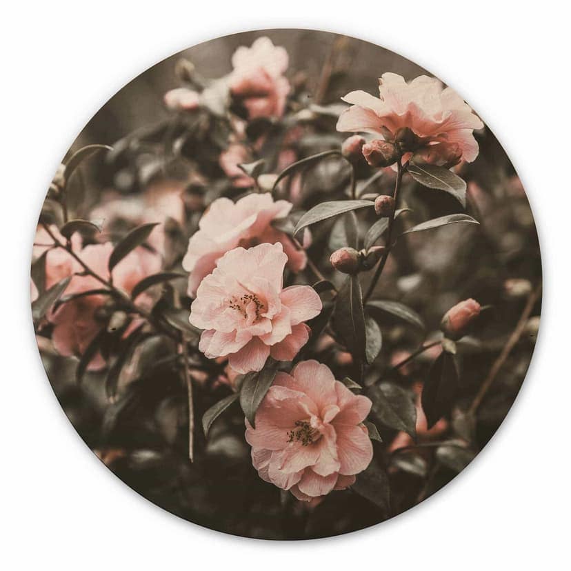 Stampa su legno Annie - Rose - tondo
