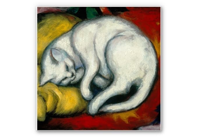 Stampa su Forex Marc - Il gatto bianco - quadrato