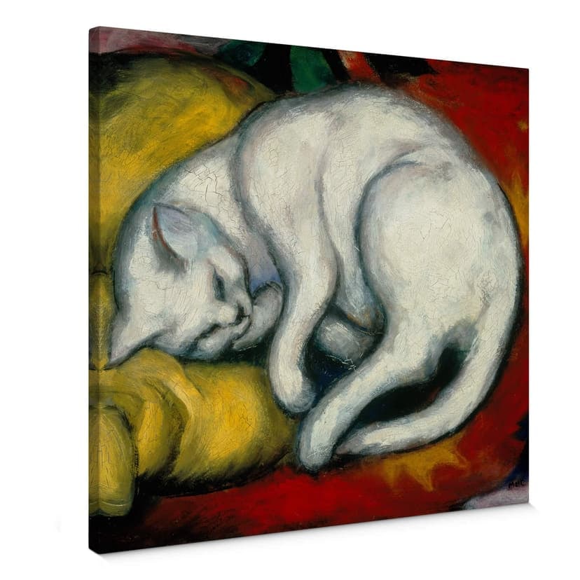 Marc – Gatto bianco - quadrato