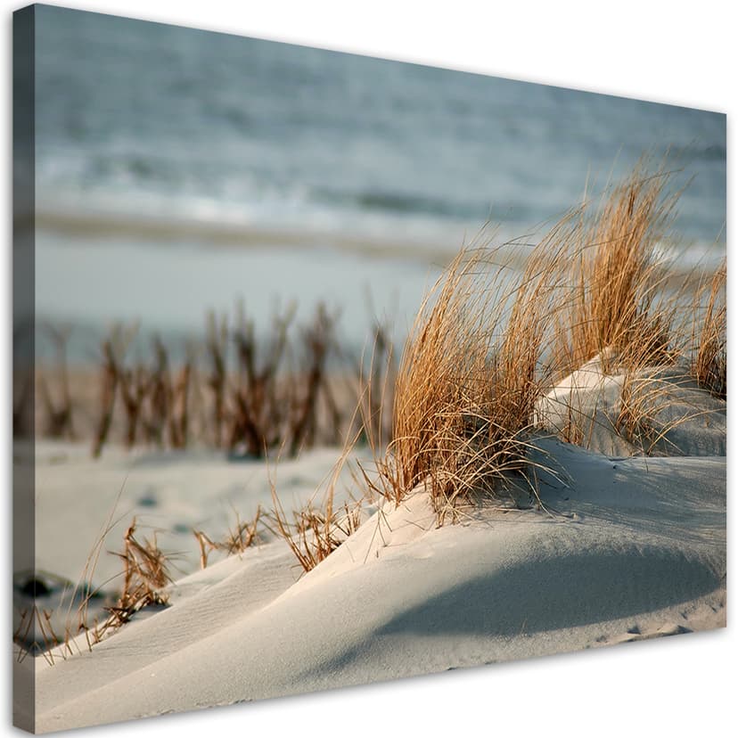 Stampe su tela, Dune in mare