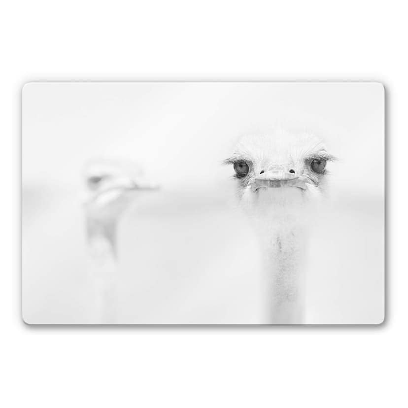 Glasbild Tonti - Augenblick