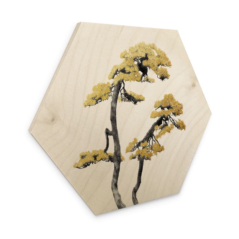 Esagono in legno Amini - Bonsai