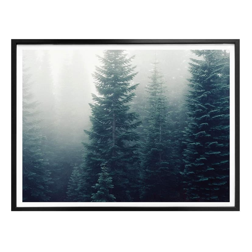 Poster - Nebbia nel bosco