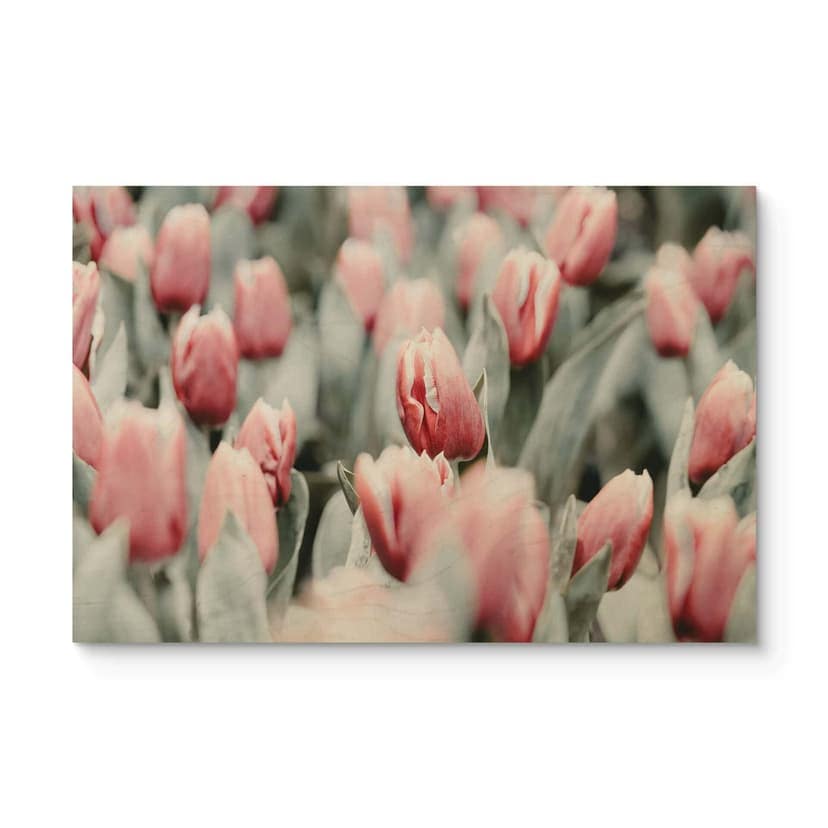 Stampa su legno Annie - Tulipani