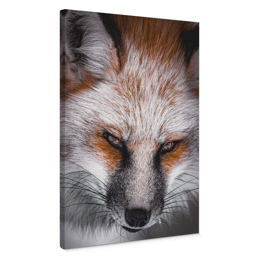Stampe su tela ritratto animale volpe rossa - Nagi