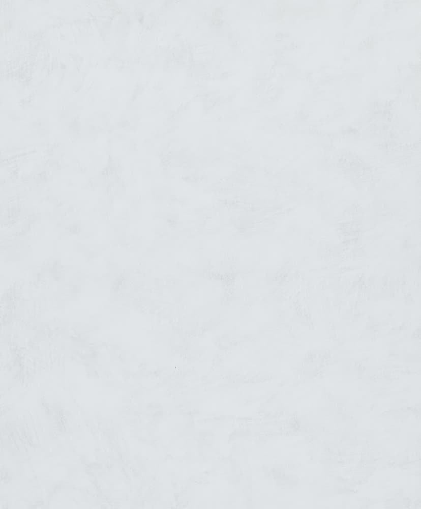 Carta da parati fresca in tessuto non tessuto Novamur Kylie bianco grigio