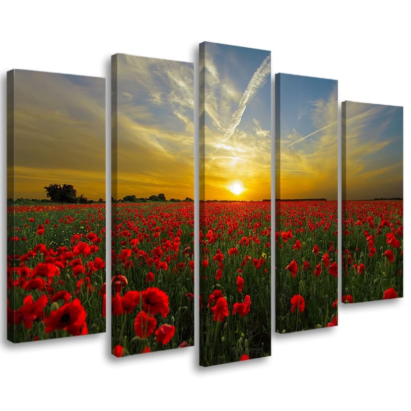 Stampa su tela 5 pezzi, Campo di papaveri Paesaggio al tramonto