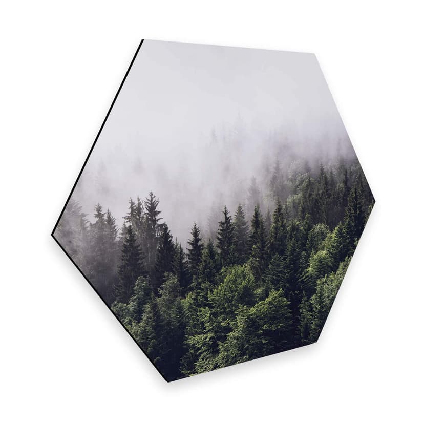 Esagoni Alu-Dibond - Nebbia