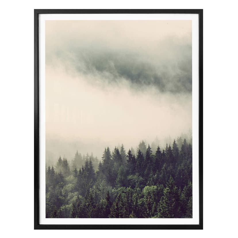 Poster - Nebbia nella foresta 02