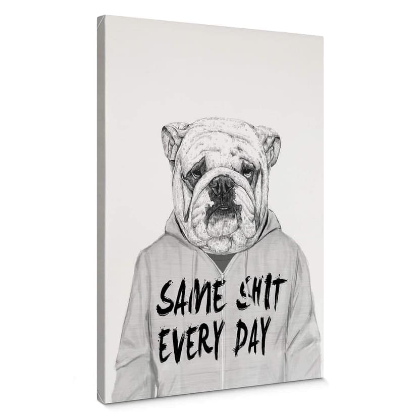 Stampa su tela Solti - Bulldog annoiato