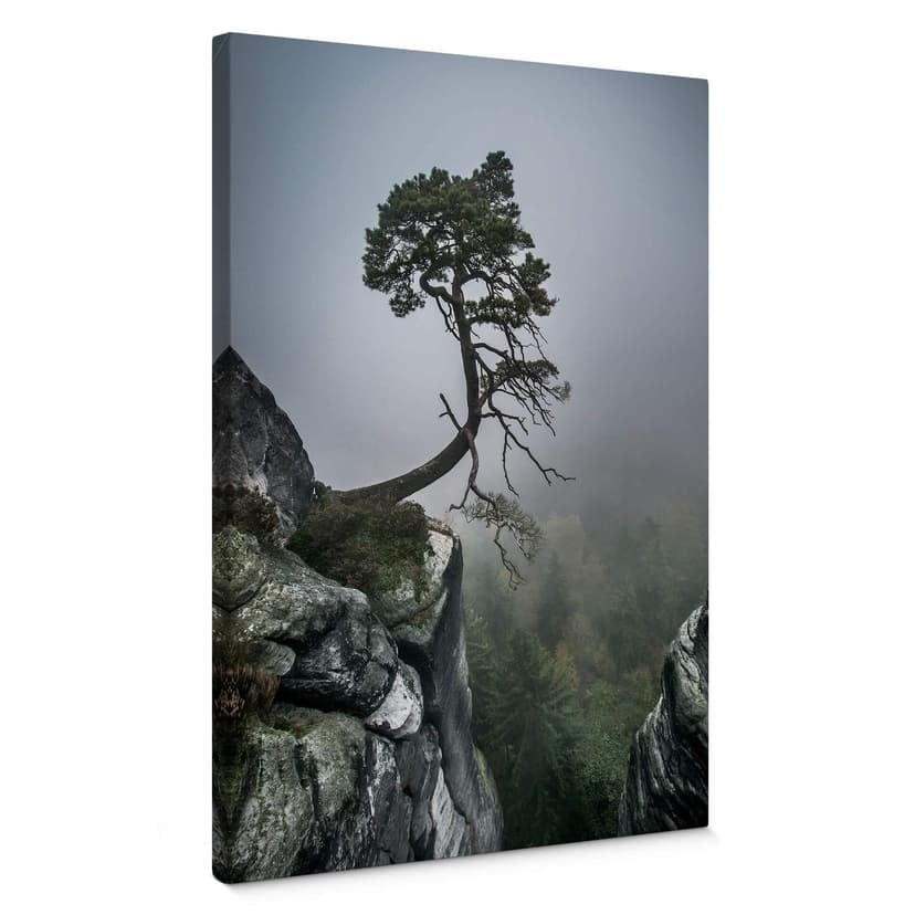 Stampa su tela Wonisch - Forza della natura