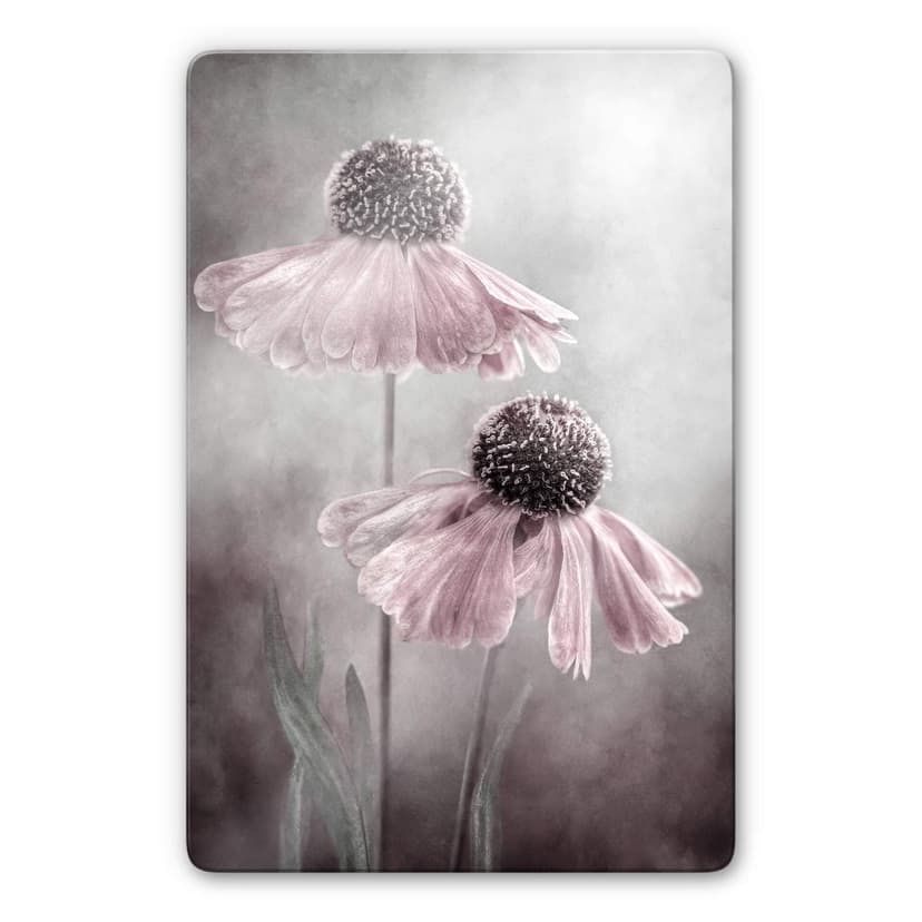 Glasbild Disher - Rosa Duett