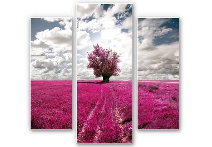 Stampa su Forex - L'albero solitario (3 parti)