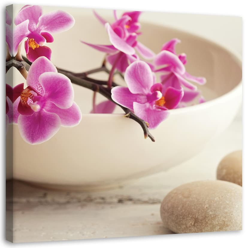 Stampe su tela, Orchidea rosa Zen Spa