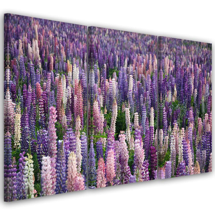 Stampa su tela 3 pezzi, fiori viola prato naturale