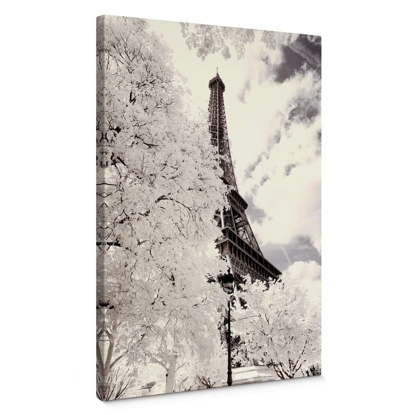 Stampa su tela Hugonnard - White Paris