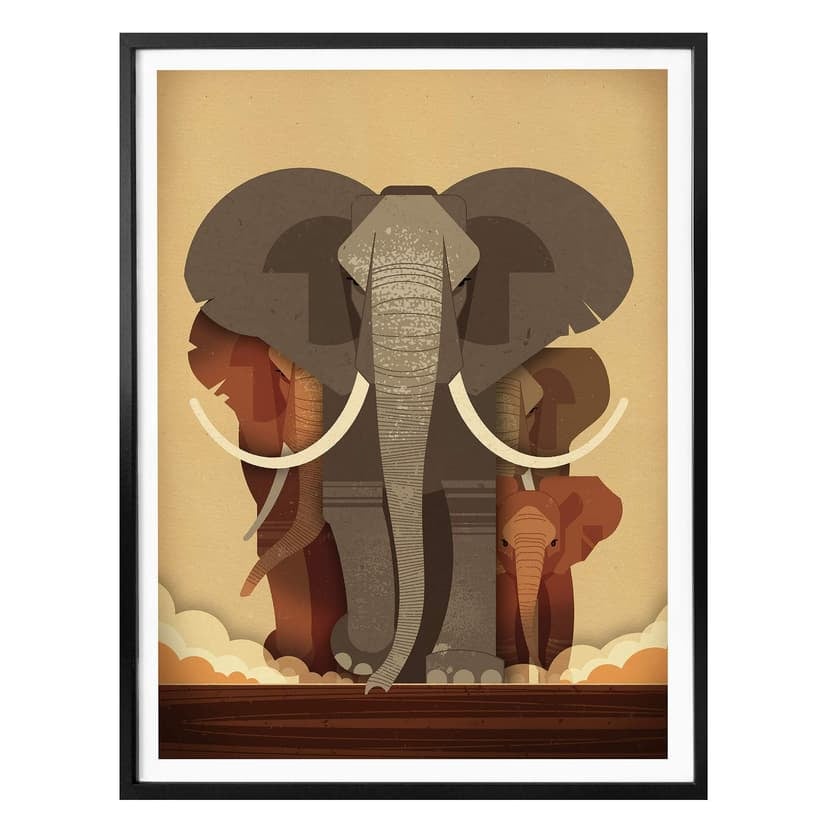 Poster Braun - Elefanti