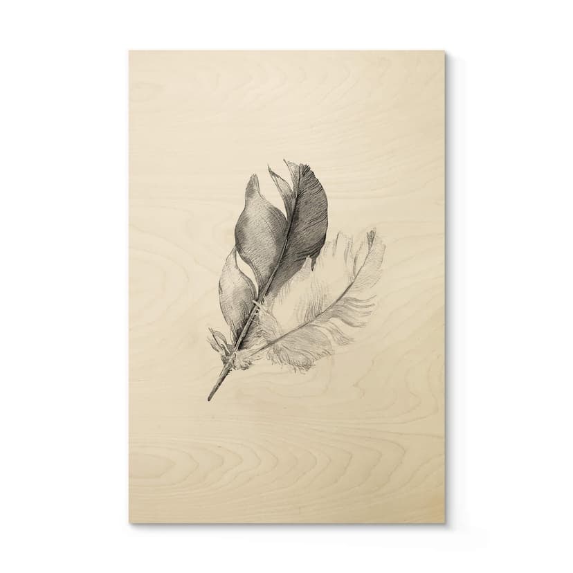 Stampa su legno - Piume