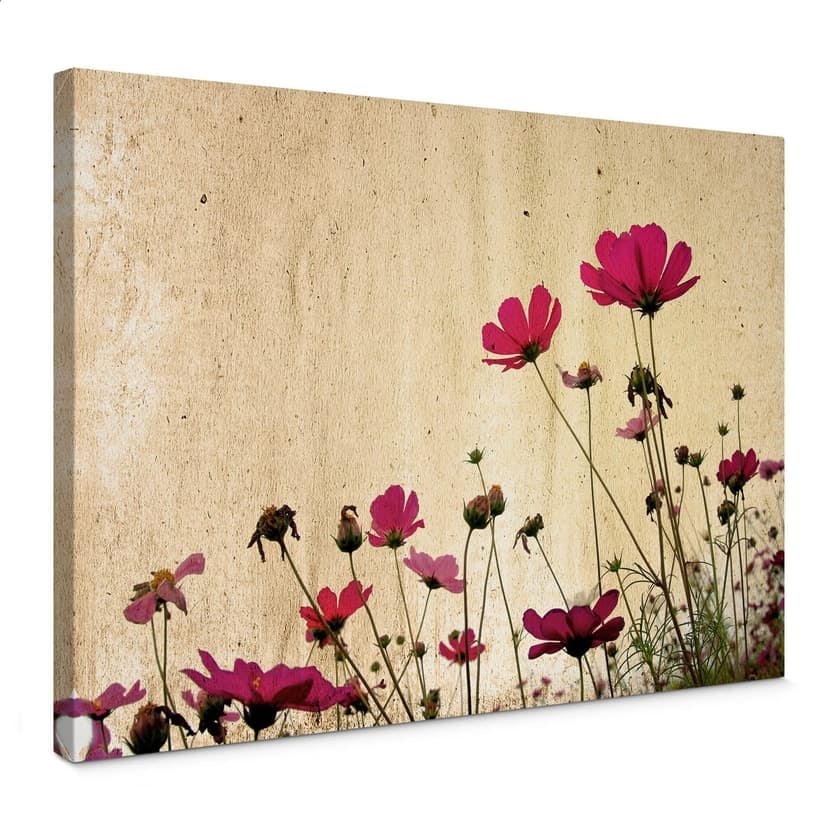 Stampa su tela - Prato in fiore