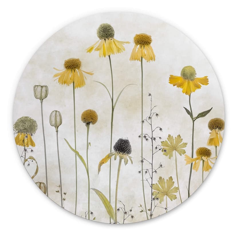 Cerchio a muro Disher - Summer Flower