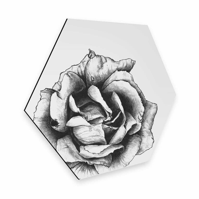 Esagoni in Alu-dibond Kools - Rosa