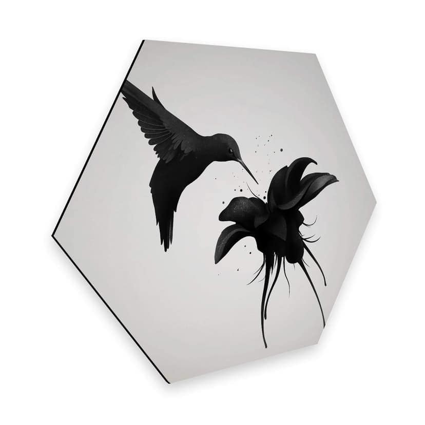 Esagoni in Alu-Dibond Ireland - Colibrì