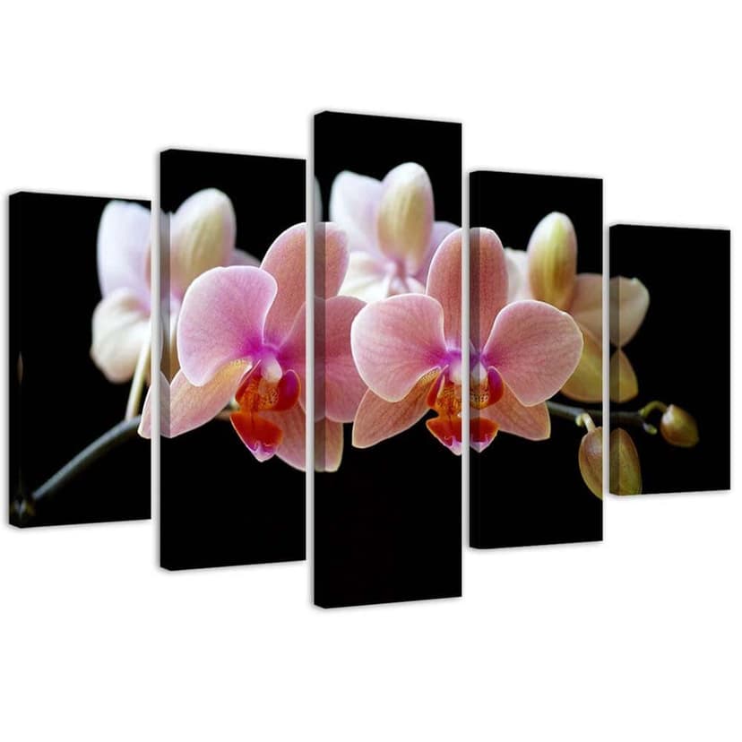 Stampa su tela 5 pezzi, orchidea rosa