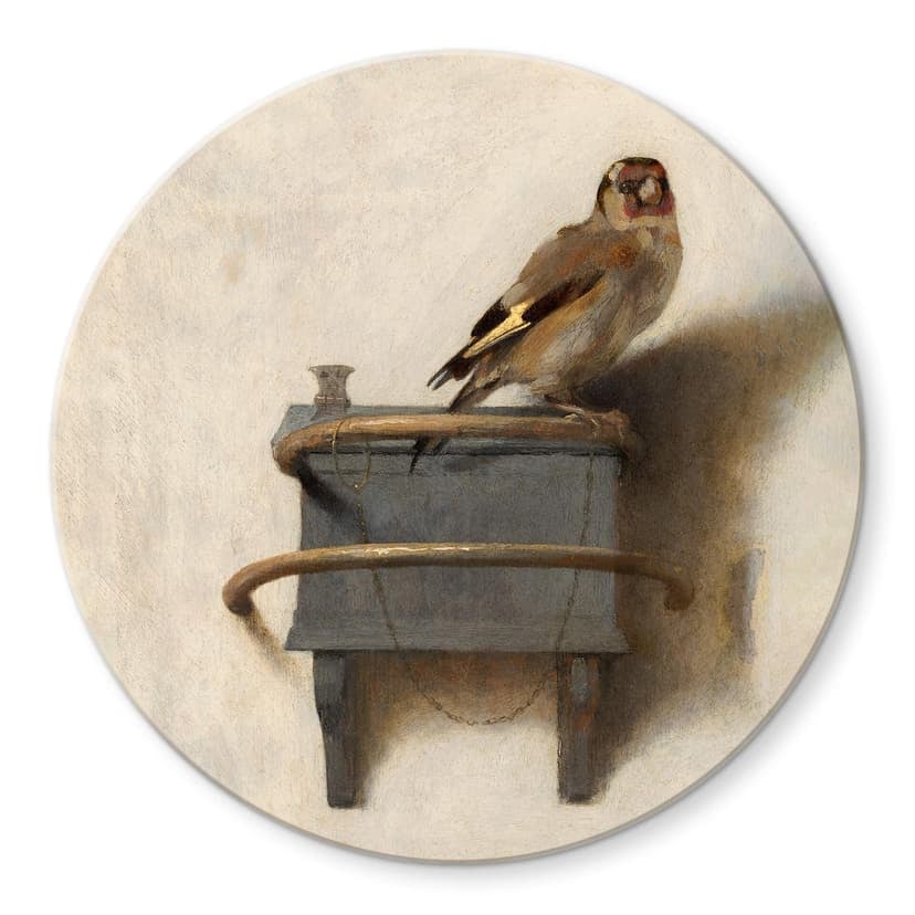Stampa su vetro Fabritius - Cardellino