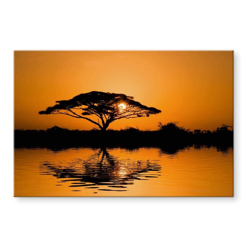 Stampa su vetro acrilico Africa