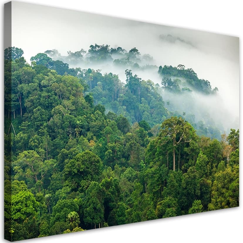 Stampe su tela, Foresta nella nebbia paesaggio