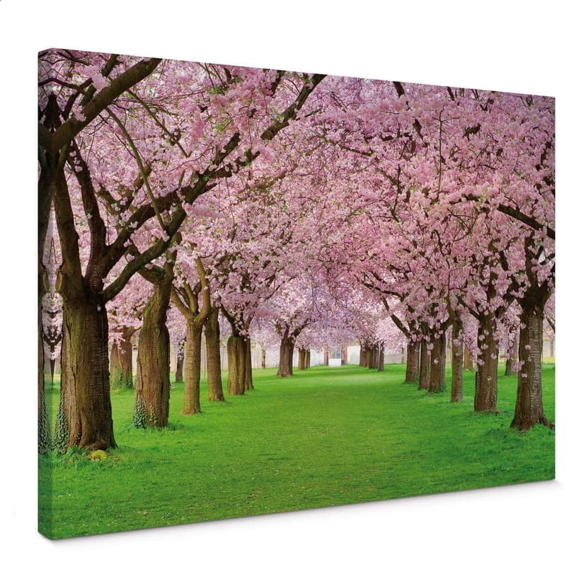 Stampa su tela - Primavera