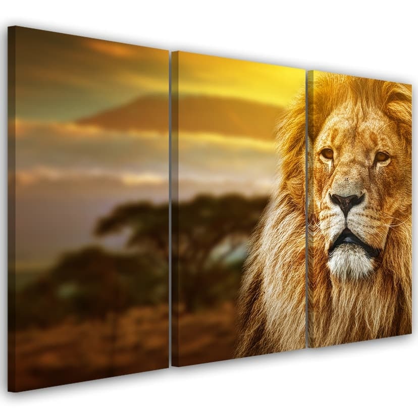 Stampa su tela 3 pezzi, Leone Africa Savannah Paesaggio