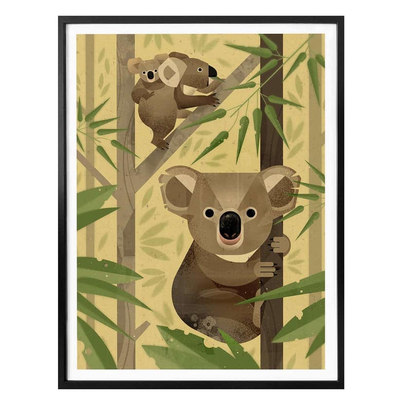 Poster Braun - Coala