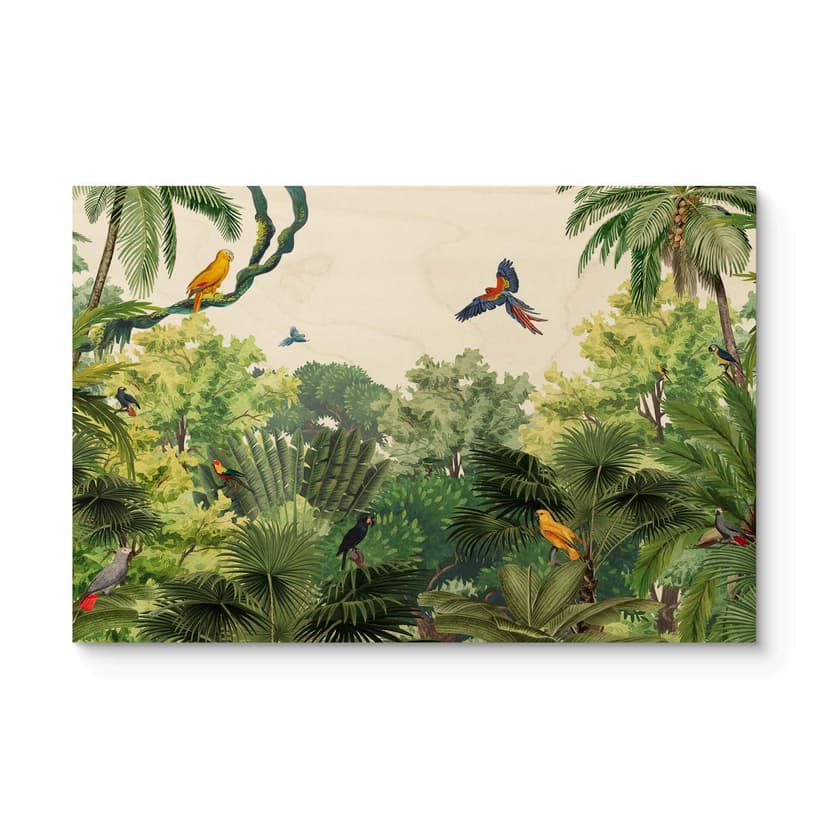 Stampa su legno di Kikki Belle - Uccelli tropicali