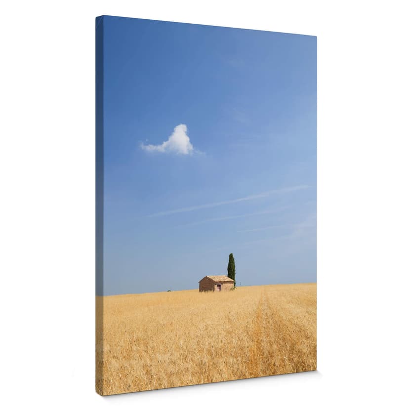 Stampa su tela Colombo - Toscana