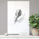 Wallprint - Piume