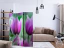 Divisorio - Tulipani primaverili viola, 3 pezzi