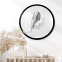 Poster Feathers