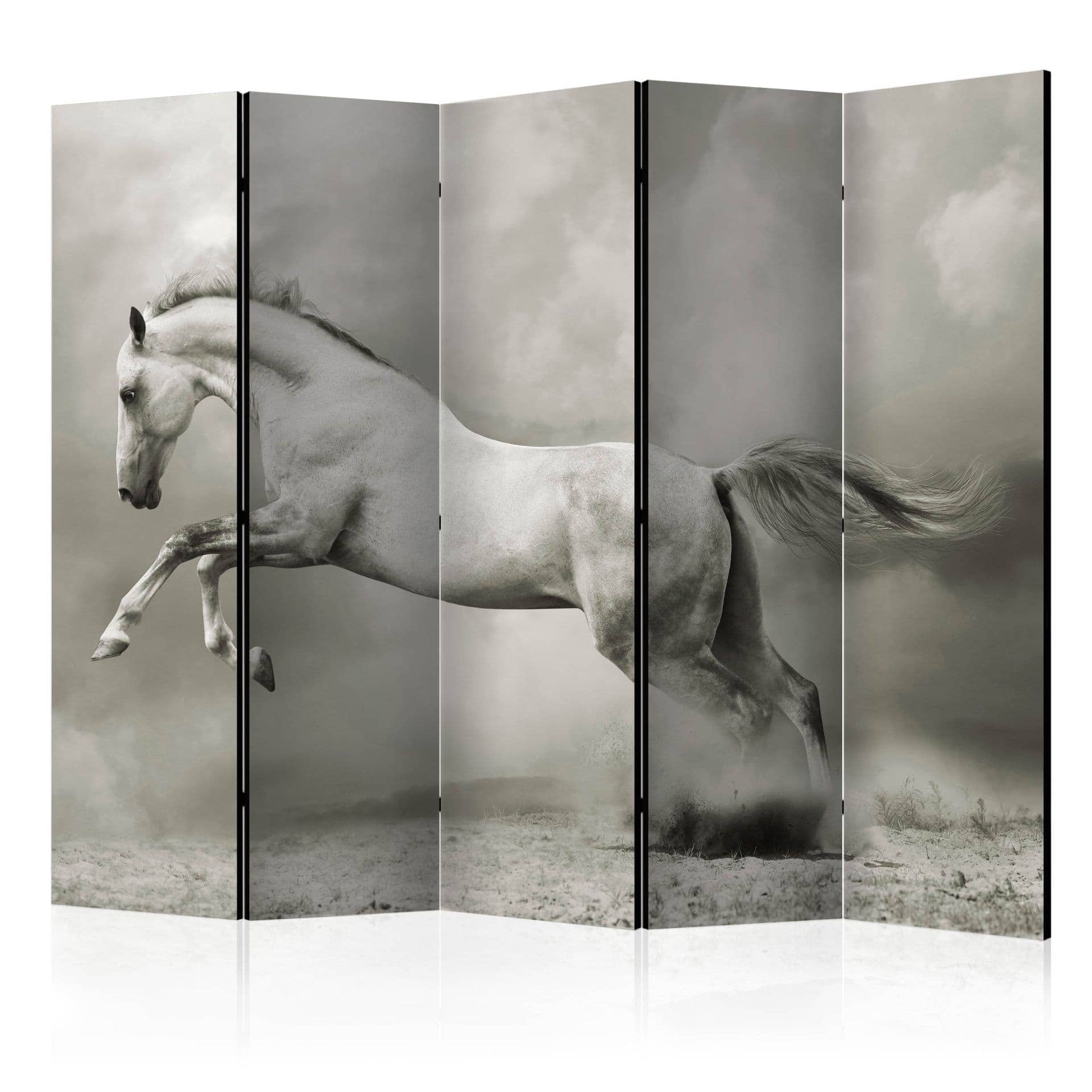 Schermo divisorio - Cavallo selvaggio , 5 pezzi - 225x172 cm