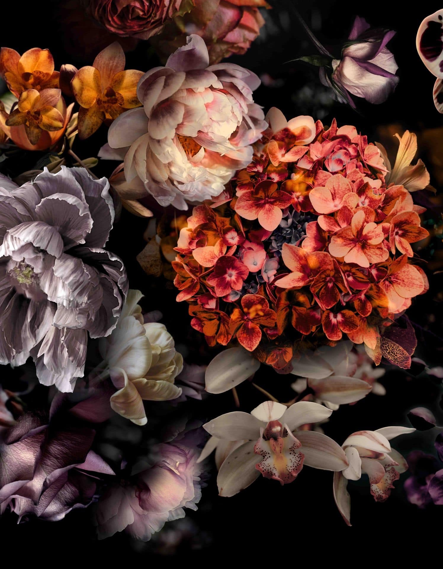 Fotomurale con motivo Dark Floral con orchidee e ortensie 3,4 x 2,65 m