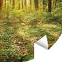 Fotomurale Foresta - tondo - carta da parati in tessuto non tessuto/carta da parati in tessuto non t