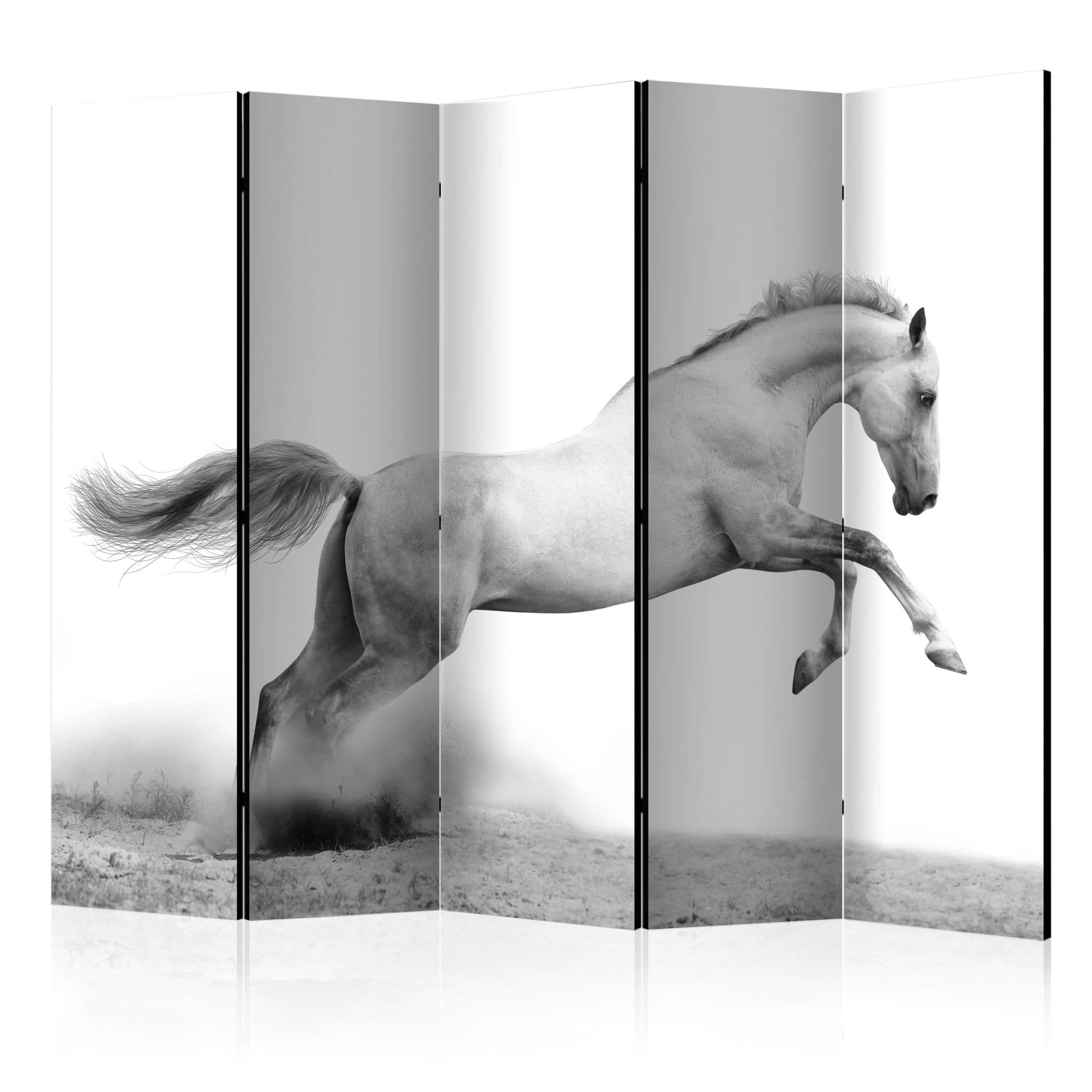 Divisorio - Galoppo bianco , 5 pezzi - 225x172 cm