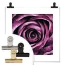 Poster - Rosa