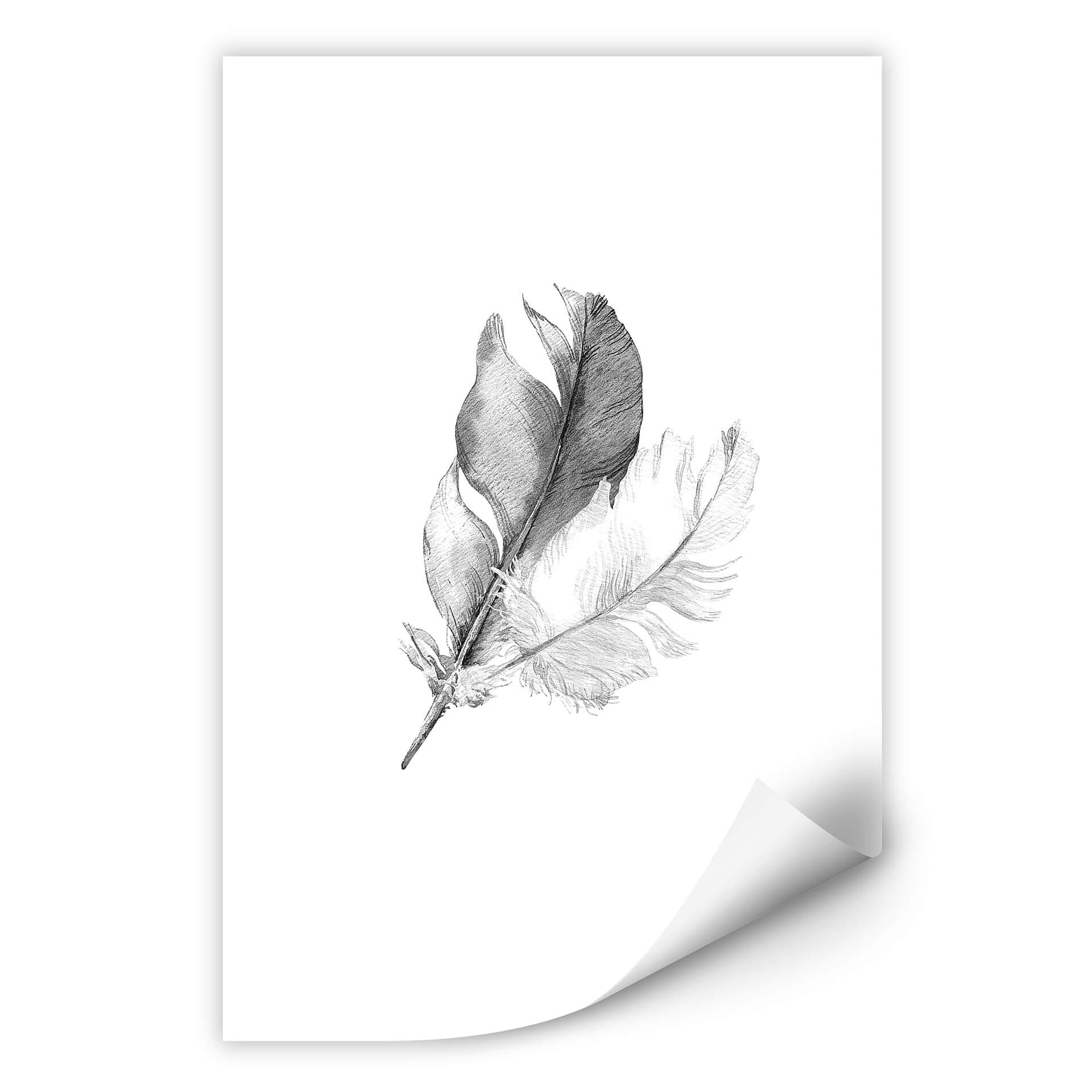 Wallprint - Piume