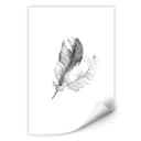 Wallprint - Piume