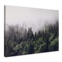 Stampa su tela - Nebbia