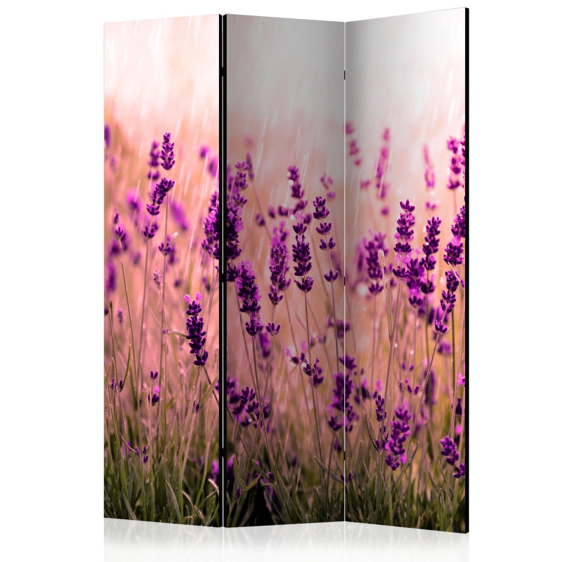 Schermo divisorio - Lavanda sotto la pioggia, 3 pezzi