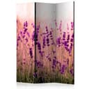 Schermo divisorio - Lavanda sotto la pioggia, 3 pezzi