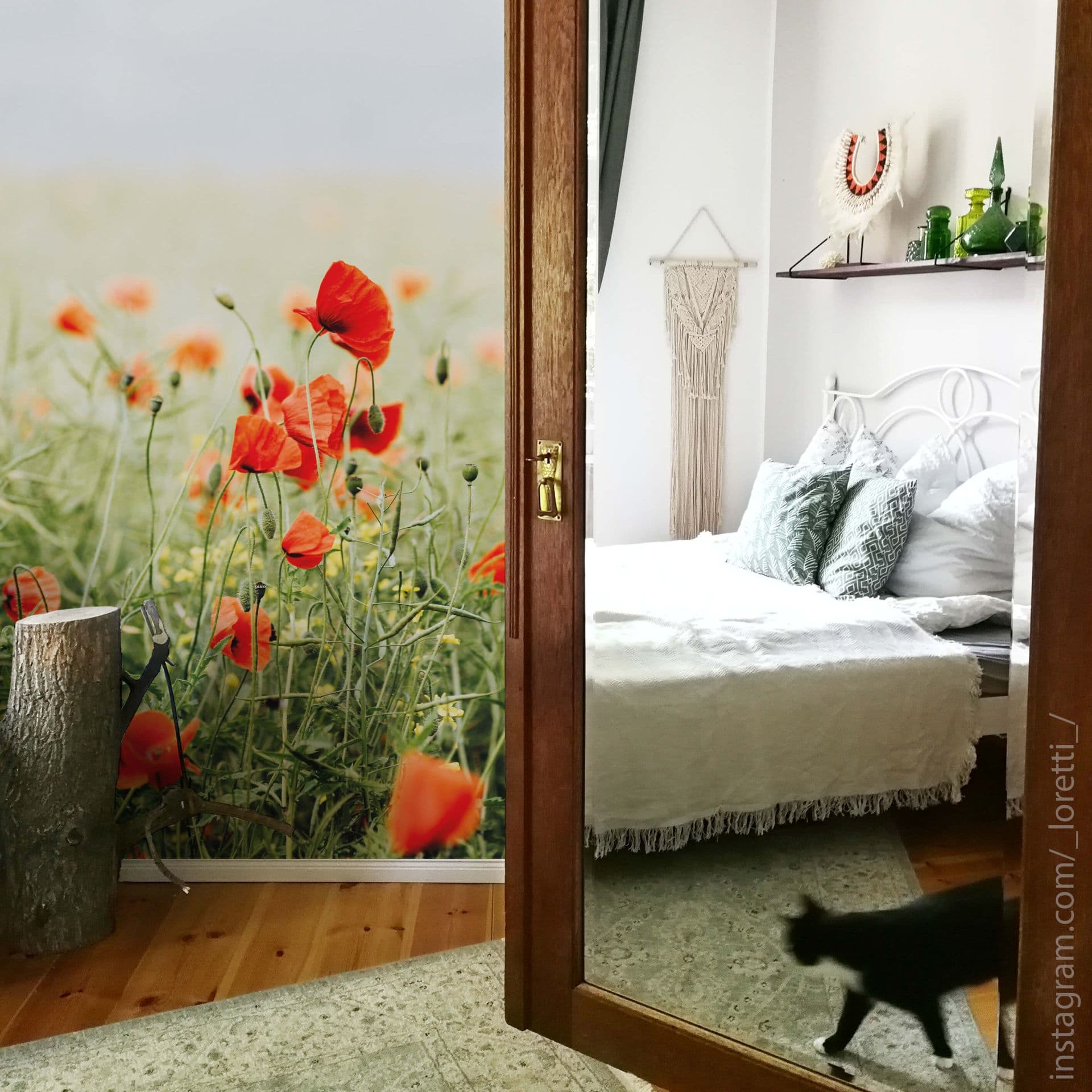 Fotomurale – Fiori di papavero 