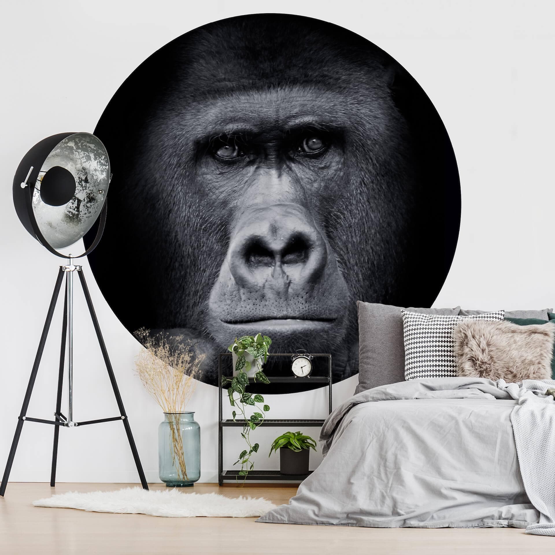 Fotomurale Gorilla - tondo - carta da parati in tessuto non tessuto/carta da parati in tessuto non t